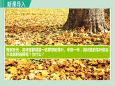 人教版八年级生物上册 第五单元 第四章 细菌和真菌 第四节 细菌和真菌在自然界中的作用 课件