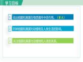 人教版八年级生物上册 第五单元 第四章 细菌和真菌 第四节 细菌和真菌在自然界中的作用 课件