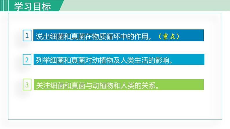 人教版八年级生物上册 第五单元 第四章 细菌和真菌 第四节 细菌和真菌在自然界中的作用 课件第3页