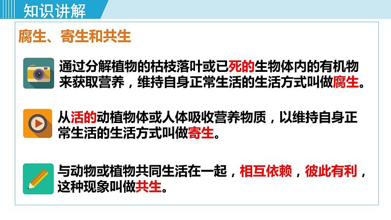 人教版八年级生物上册 第五单元 第四章 细菌和真菌 第四节 细菌和真菌在自然界中的作用 课件第4页