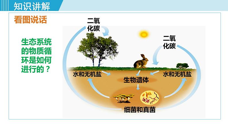 人教版八年级生物上册 第五单元 第四章 细菌和真菌 第四节 细菌和真菌在自然界中的作用 课件第5页