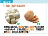 人教版八年级生物上册 第五单元 第四章 细菌和真菌第五节 人类对细菌和真菌的利用 课件