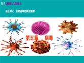 人教版八年级生物上册 第五单元 第五章 病毒 第五章病毒课件
