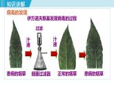 人教版八年级生物上册 第五单元 第五章 病毒 第五章病毒课件