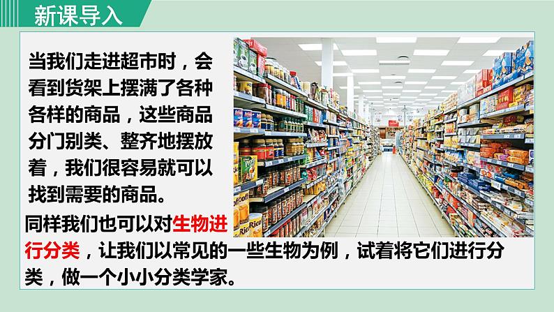 人教版八年级生物上册 第六单元 第一章 根据生物的特征进行分类 第一节尝试对生物进行分类 课件01