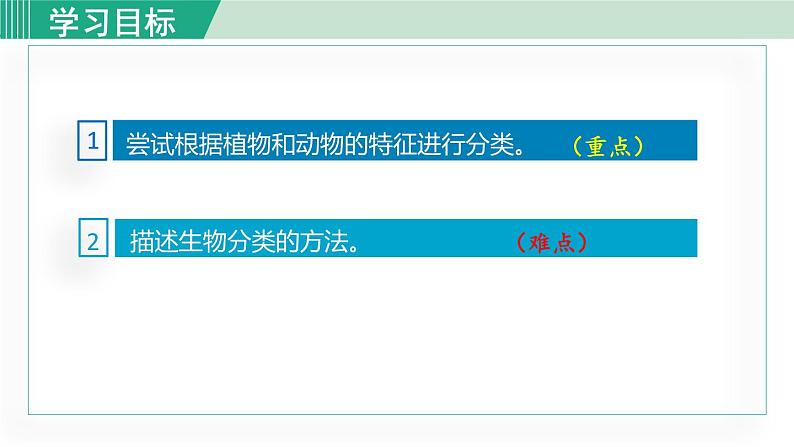 人教版八年级生物上册 第六单元 第一章 根据生物的特征进行分类 第一节尝试对生物进行分类 课件03