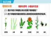 人教版八年级生物上册 第六单元 第一章 根据生物的特征进行分类 第一节尝试对生物进行分类 课件
