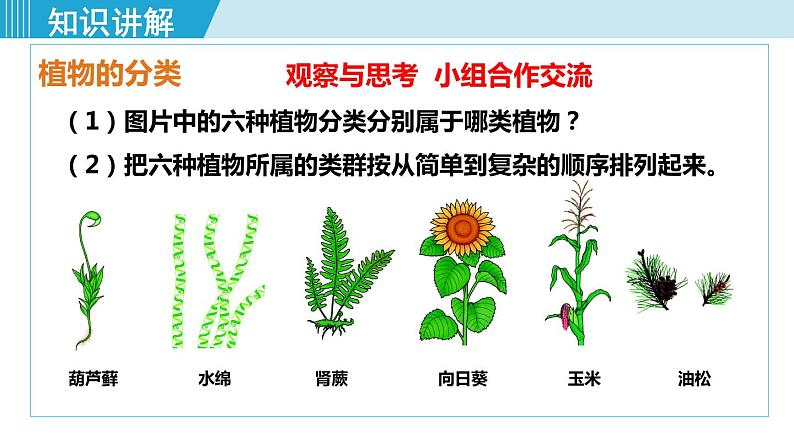 人教版八年级生物上册 第六单元 第一章 根据生物的特征进行分类 第一节尝试对生物进行分类 课件04