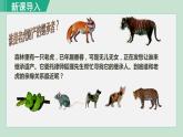人教版八年级生物上册 第六单元 第一章 根据生物的特征进行分类 第二节从种到界 课件