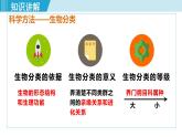 人教版八年级生物上册 第六单元 第一章 根据生物的特征进行分类 第二节从种到界 课件