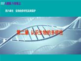 人教版八年级生物上册 第六单元 第二章 认识生物的多样性 课件