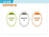 人教版八年级生物上册 第六单元 第二章 认识生物的多样性 课件