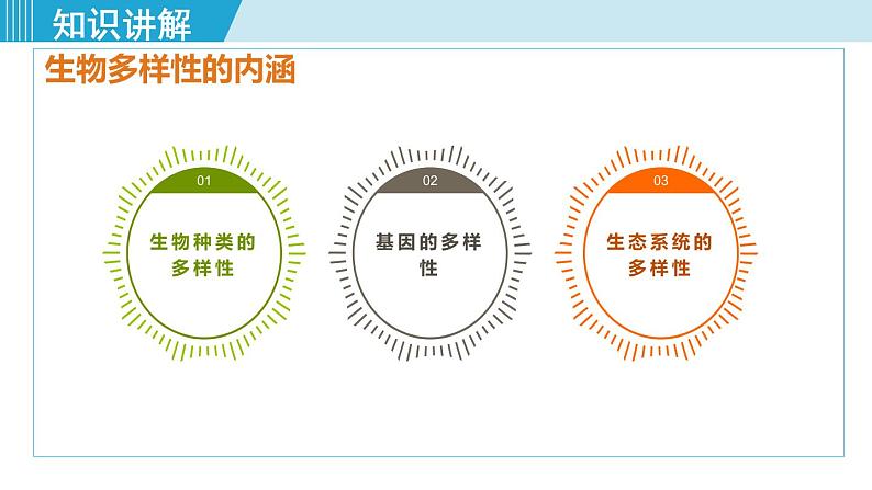 人教版八年级生物上册 第六单元 第二章 认识生物的多样性 课件第3页