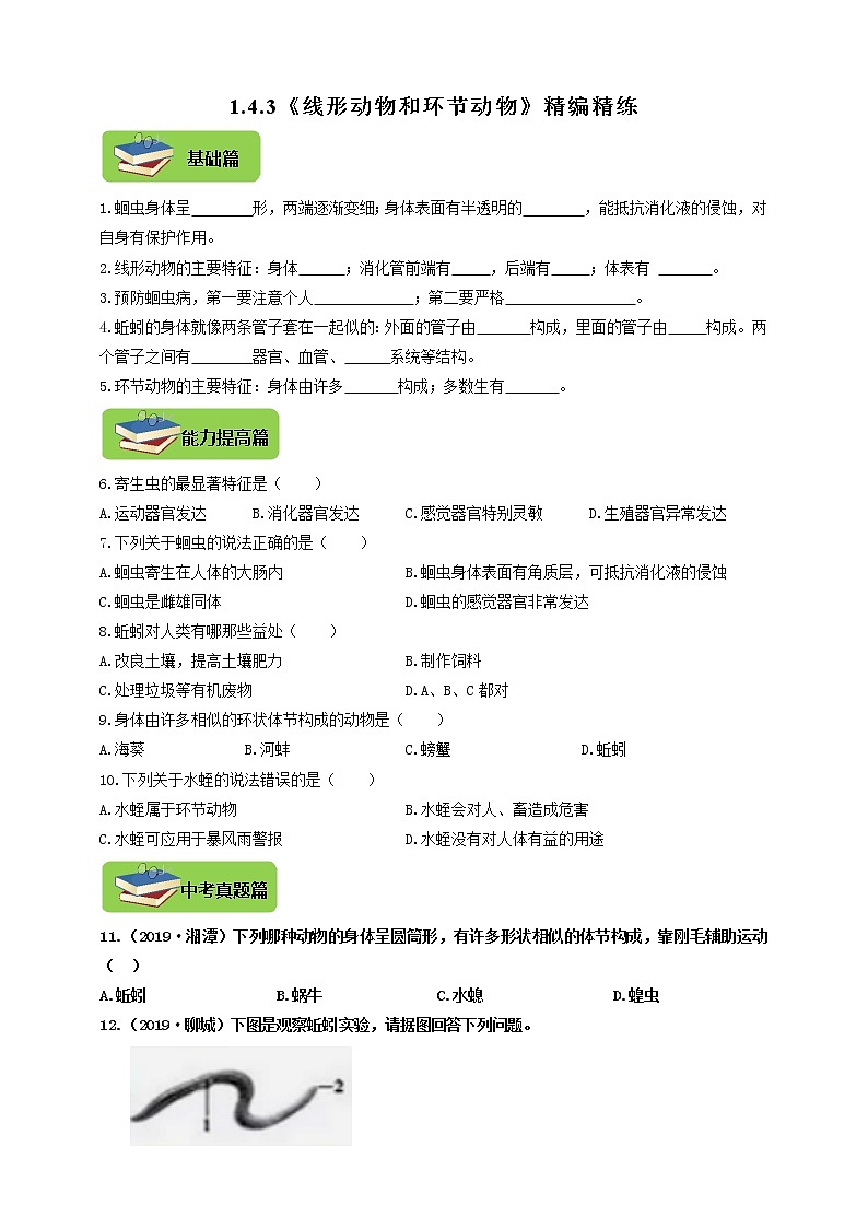 1.4.3《线形动物和环节动物》精编精炼第1页