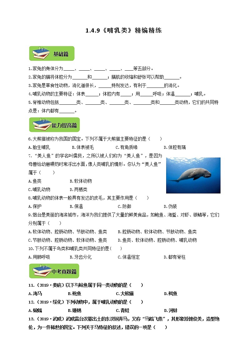 第四章 多种多样的动物 4.9《哺乳类》同步练习01