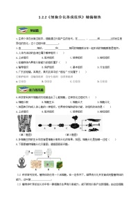 初中生物冀教版七年级上册第二节 细胞分化形成组织课时练习