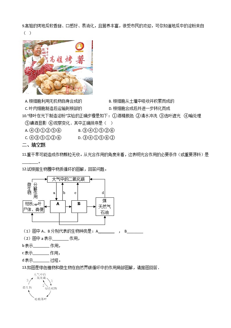 2.1.3 绿色植物的光合作用 同步测试（含解析）02