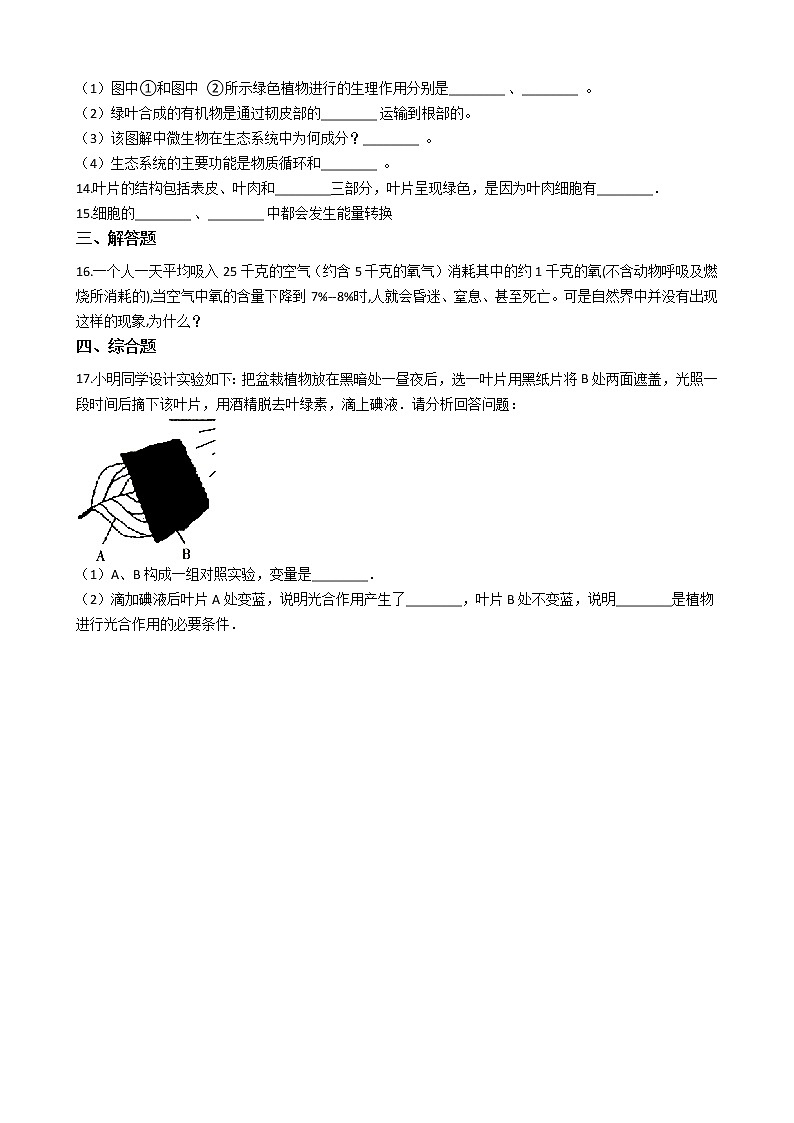 2.1.3 绿色植物的光合作用 同步测试（含解析）03