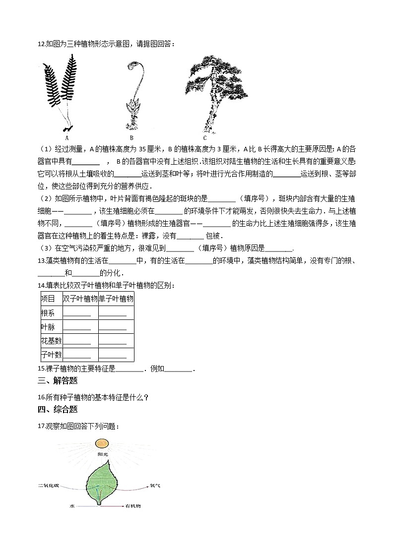 2.1.4 绿色植物的呼吸作用 同步测试（含解析）02