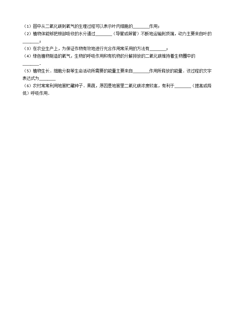 2.1.4 绿色植物的呼吸作用 同步测试（含解析）03