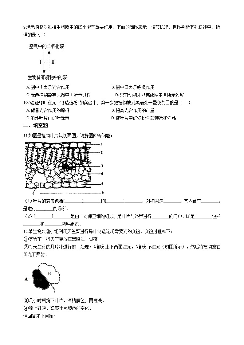 2.1.5 绿色植物在生物圈中的作用 同步测试（含解析）02
