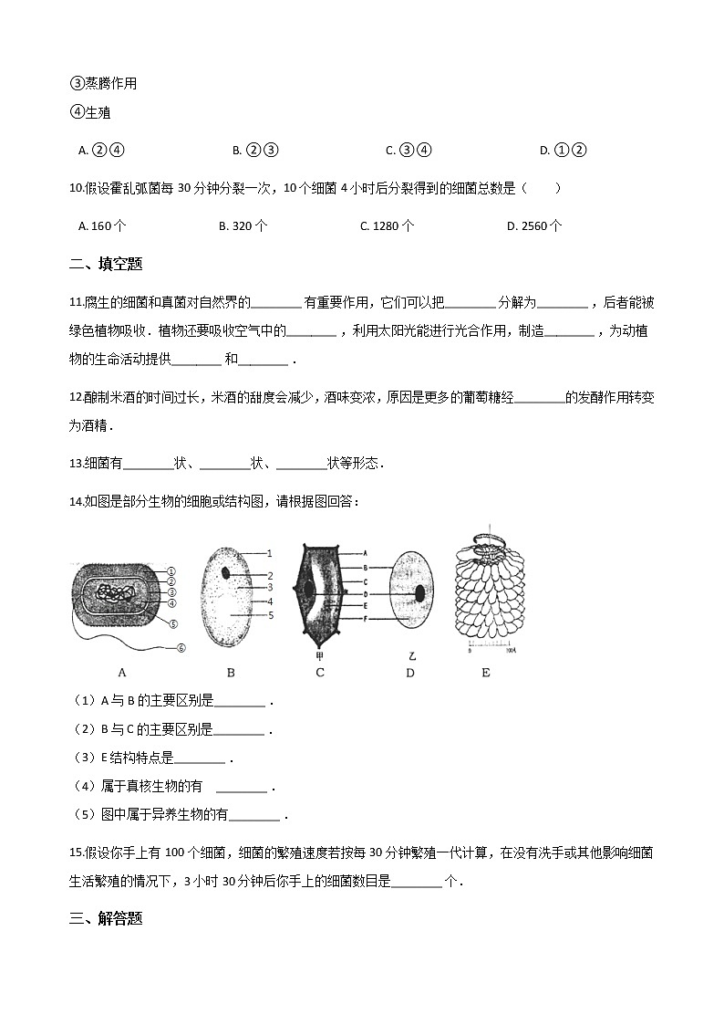 2.3.2 细菌 同步测试（无答案）第2页