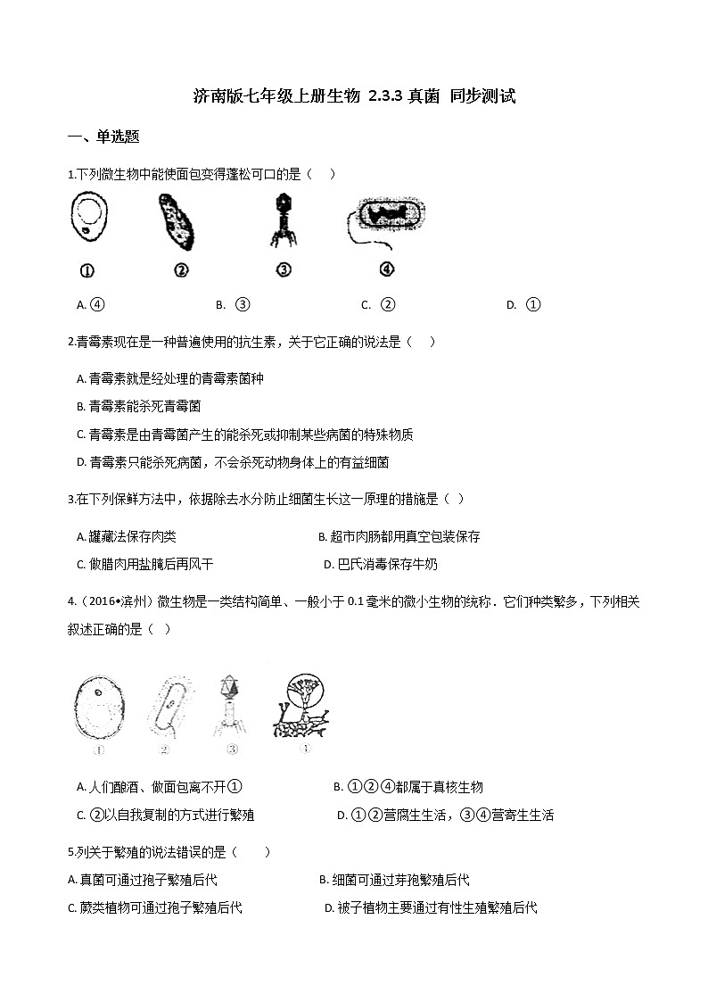 2.3.3 真菌 同步测试（无答案）01