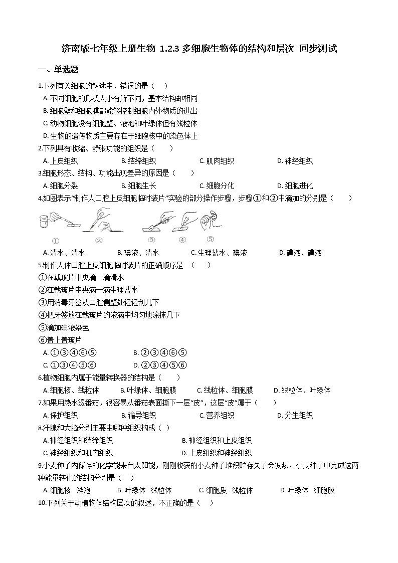 1.2.3 多细胞生物体的结构和层次 同步测试（含解析）第1页