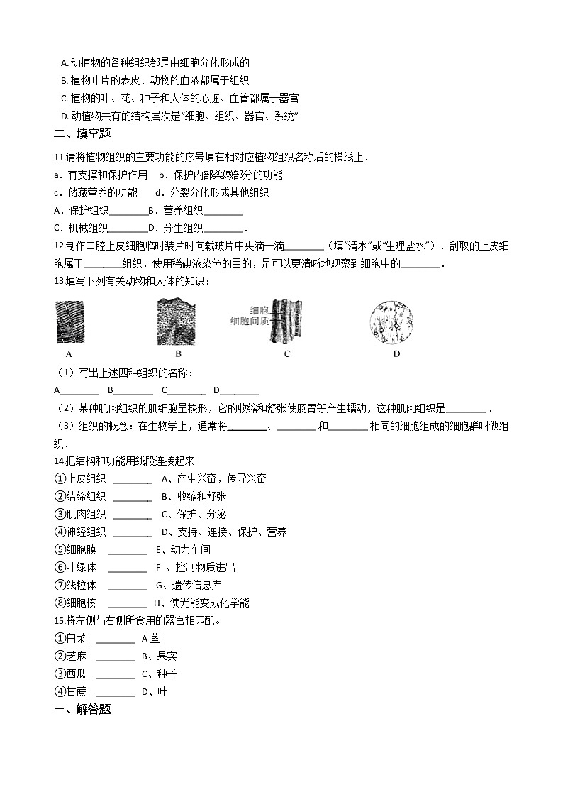 1.2.3 多细胞生物体的结构和层次 同步测试（含解析）第2页