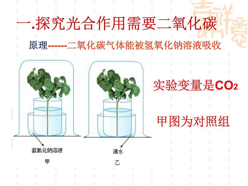 冀教版八上生物 3.3.2光合作用的原料 课件04