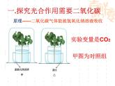 冀教版八上生物 3.3.2光合作用的原料 课件