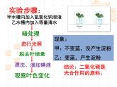 冀教版八上生物 3.3.2光合作用的原料 课件