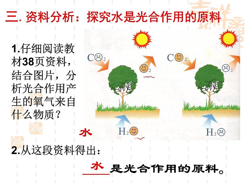 冀教版八上生物 3.3.2光合作用的原料 课件07