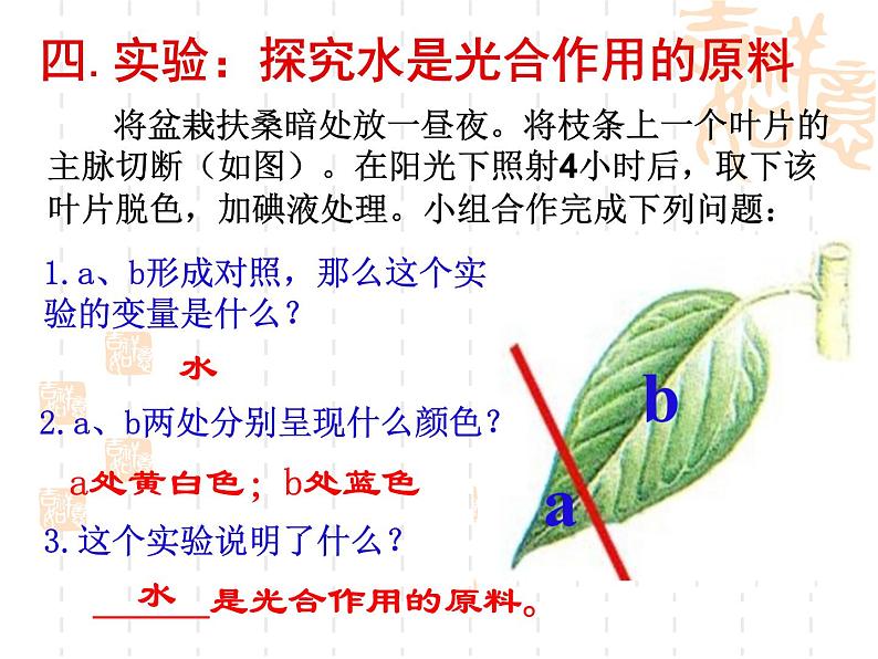 冀教版八上生物 3.3.2光合作用的原料 课件08