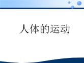 苏科版八年级上册生物  17.1人体的运动 课件