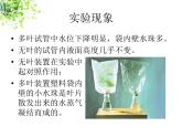 苏科版八年级上册生物  18.1绿色植物与生物圈的水循环 课件