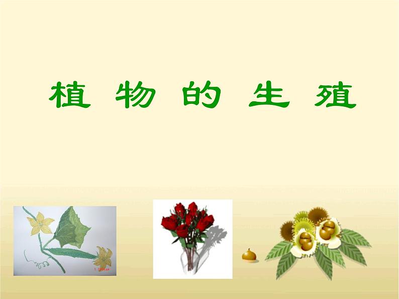 苏科版八年级上册生物  19.1植物的生殖 课件01