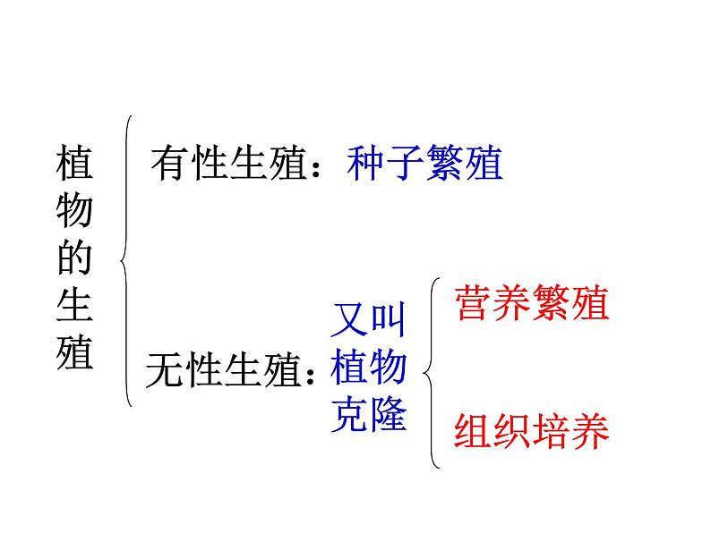 苏科版八年级上册生物  19.1植物的生殖 课件02