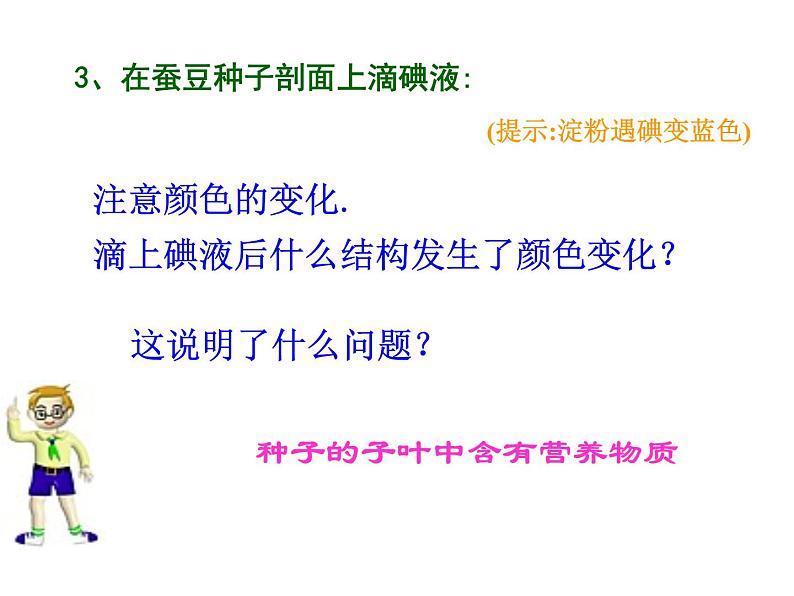 苏科版八年级上册生物  19.2植物的生长发育 课件05