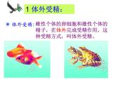 苏科版八年级上册生物  20.1动物的生殖 课件