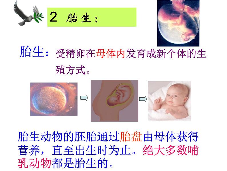 苏科版八年级上册生物  20.1动物的生殖 课件08