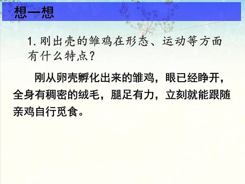 苏科版八年级上册生物  20.2动物的发育 课件07