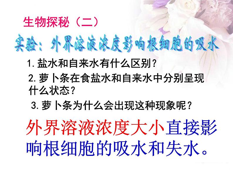 苏教版七年级上册3.5.3 植物生长需要水和无机盐（共39张ppt）第8页