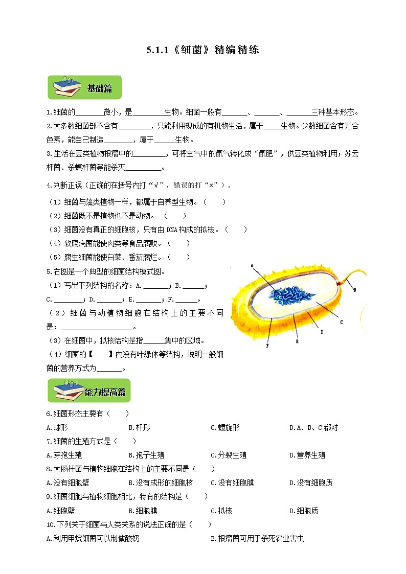 5.1.1《细菌》同步练习01
