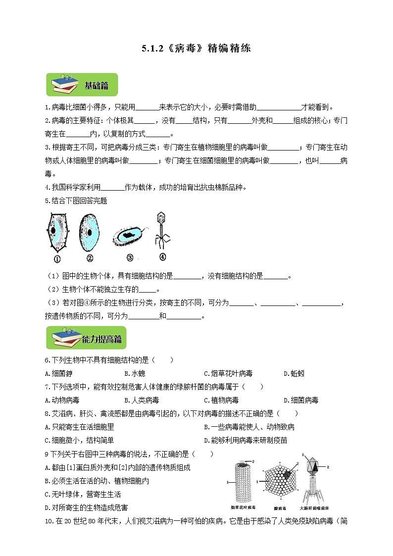 5.1.2《病毒》同步练习01