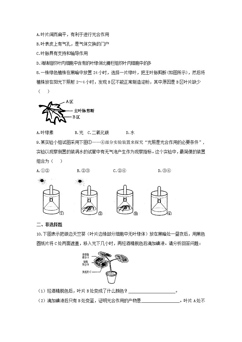 七年级生物上册3.4.1《绿色植物的光合作用》同步练习02