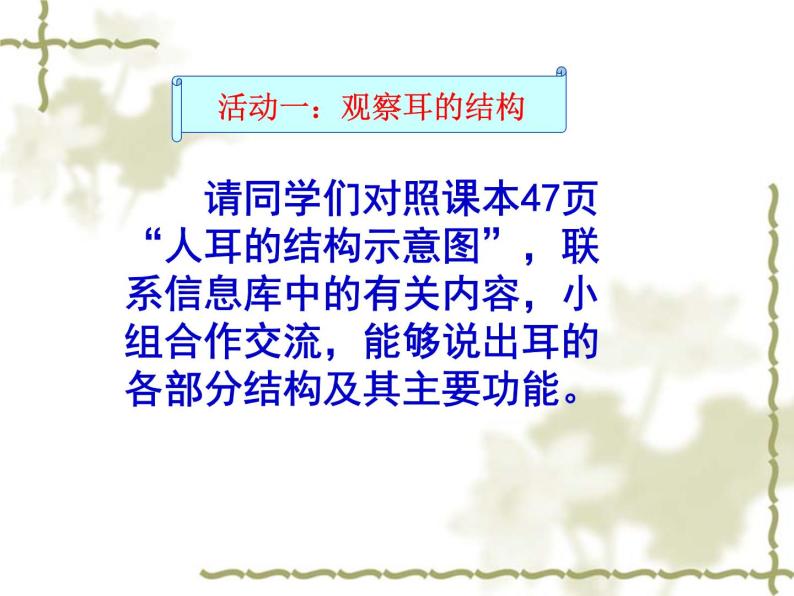 苏科版八年级上册生物  16.2人体对信息的感知 课件03