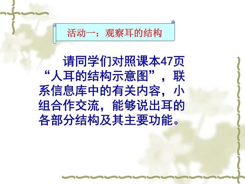 苏科版八年级上册生物  16.2人体对信息的感知 课件03