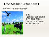 苏科版八年级上册生物  18.3生态系统的自我调节 课件
