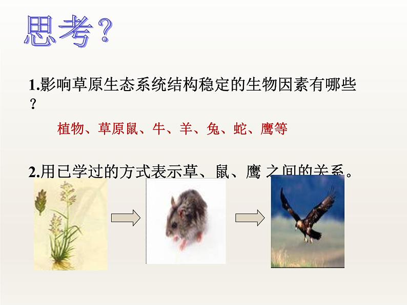 苏科版八年级上册生物  18.3生态系统的自我调节 课件06